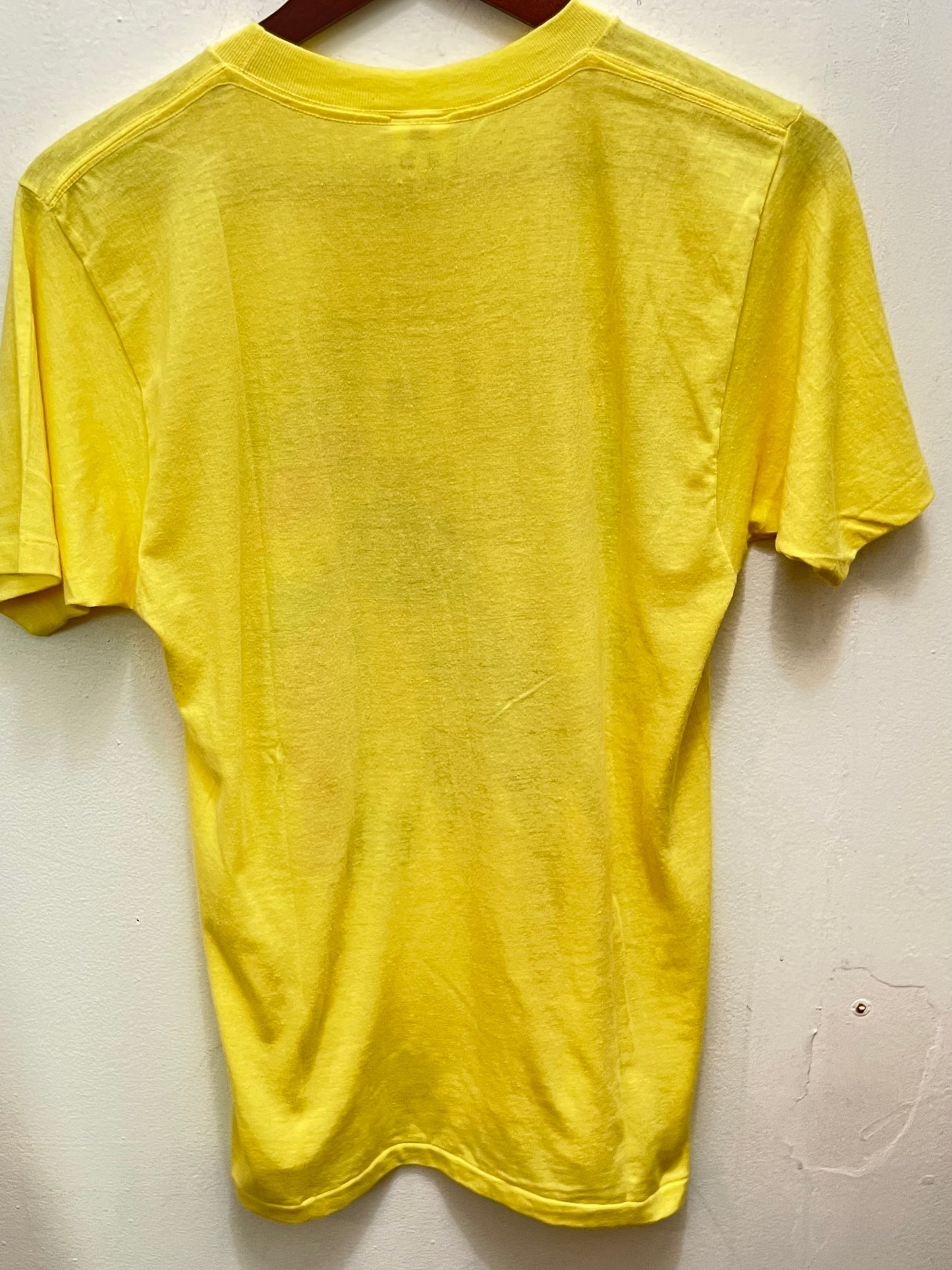 Vintage Florida Parrot Graphic Tee