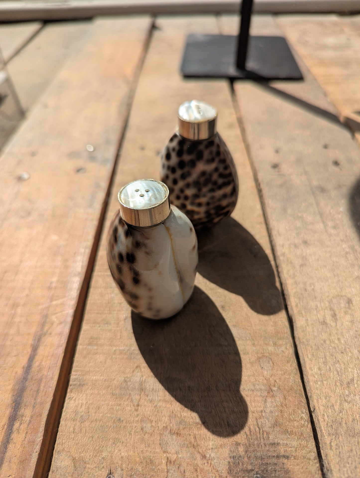 Cowrie Shell Salt & Pepper Shakers