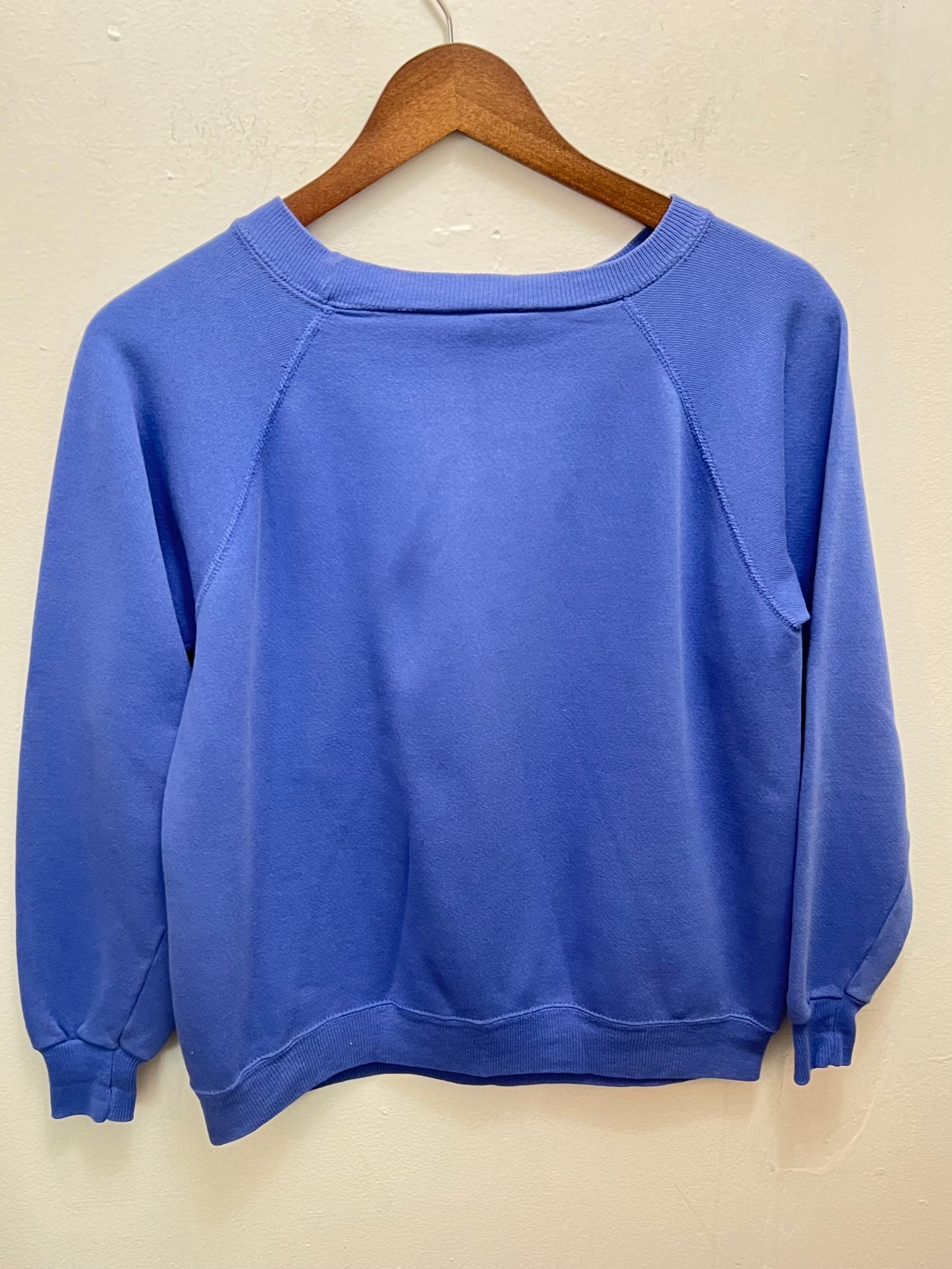 Vintage Sapphire Raglan Sweatshirt