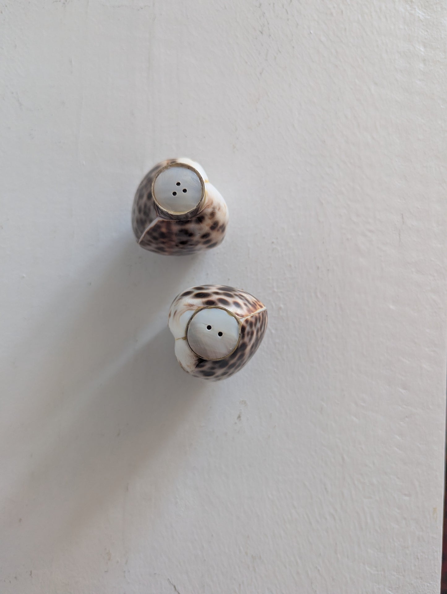 Cowrie Shell Salt & Pepper Shakers