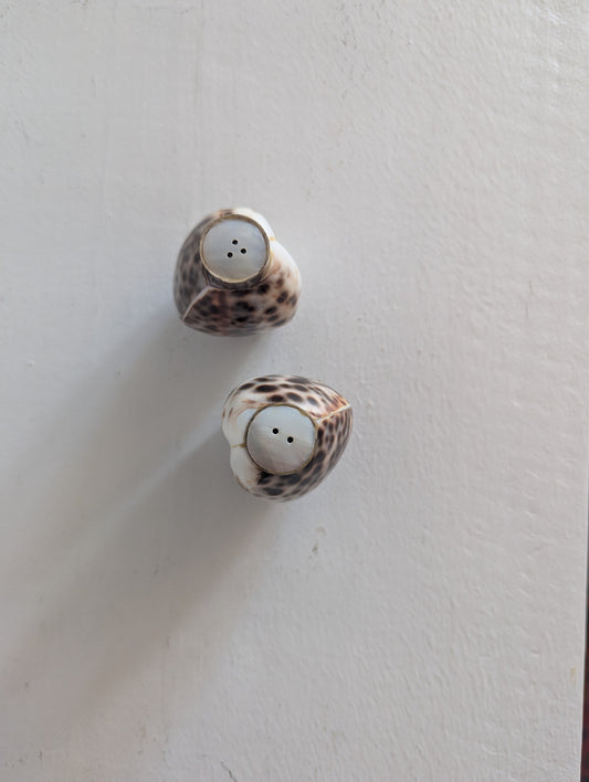 Cowrie Shell Salt & Pepper Shakers