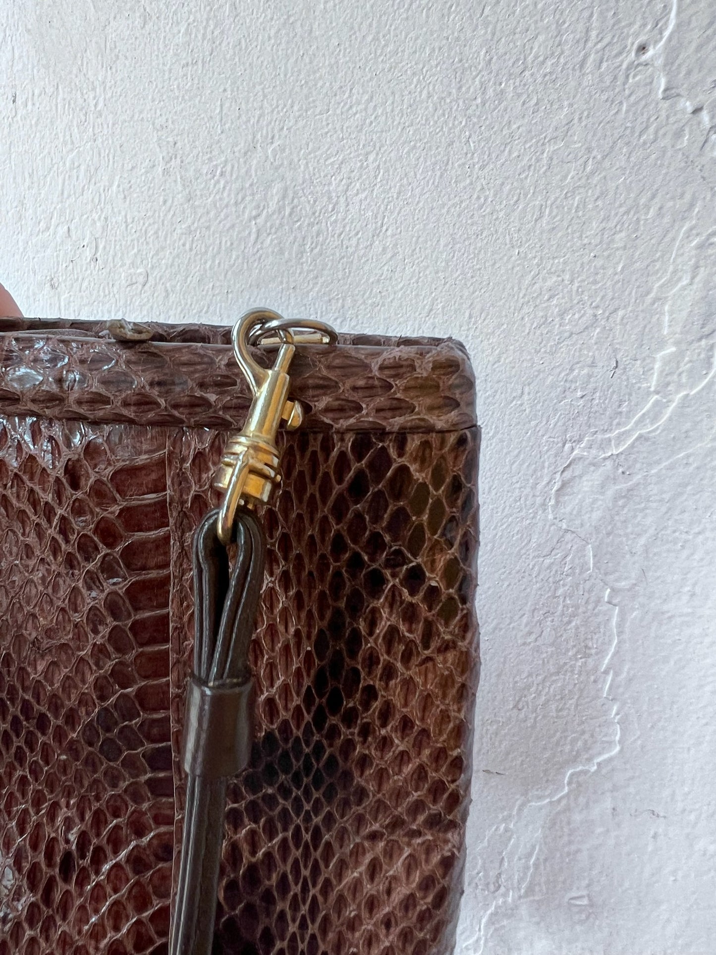 Vintage Snakeskin Crossbody Bag
