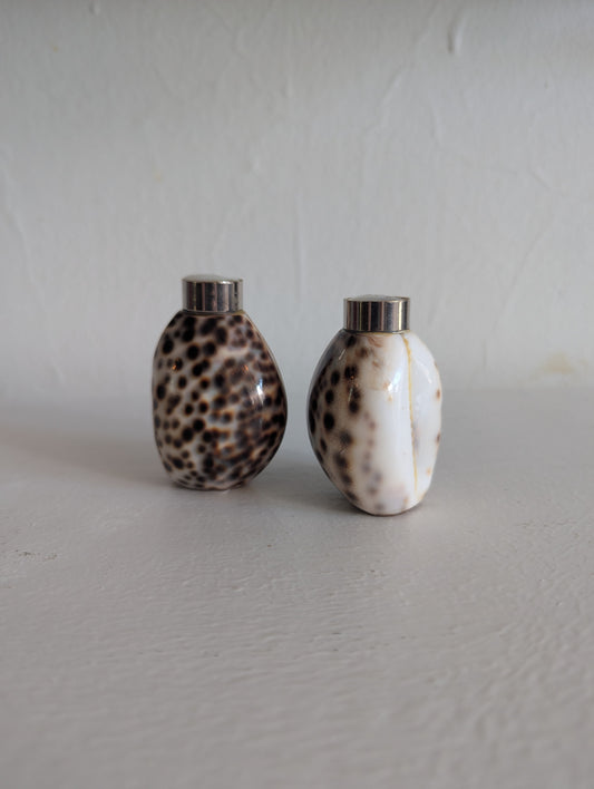 Cowrie Shell Salt & Pepper Shakers