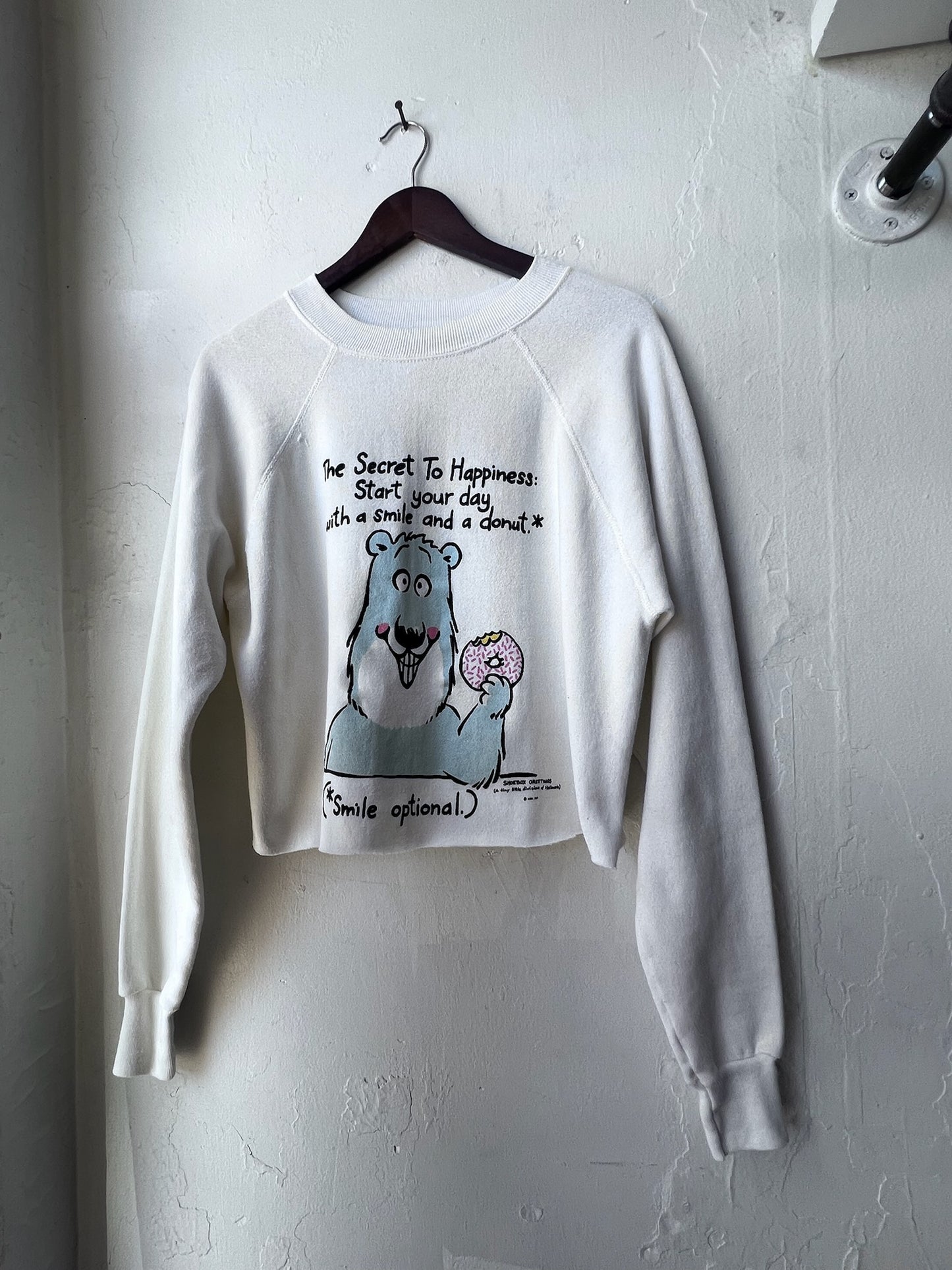 Vintage Donut Bear Graphic Sweatshirt
