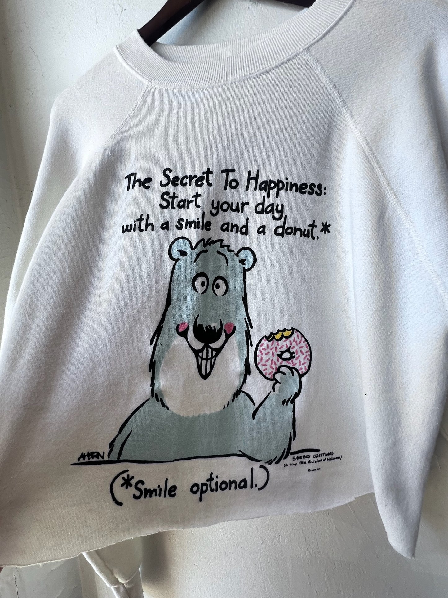 Vintage Donut Bear Graphic Sweatshirt